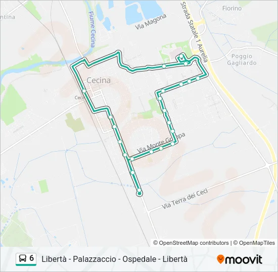 6 Bus Line Map