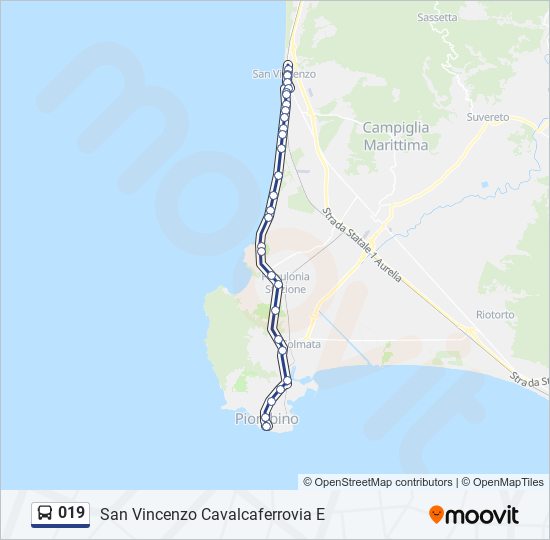 Percorso linea bus 019