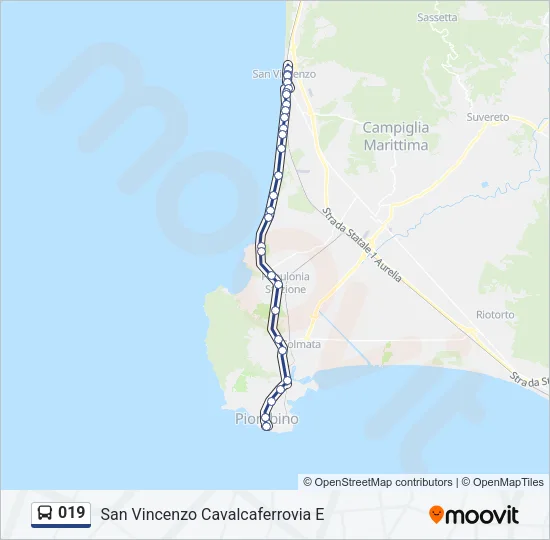 019 Bus Line Map
