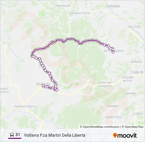 31 Bus Line Map