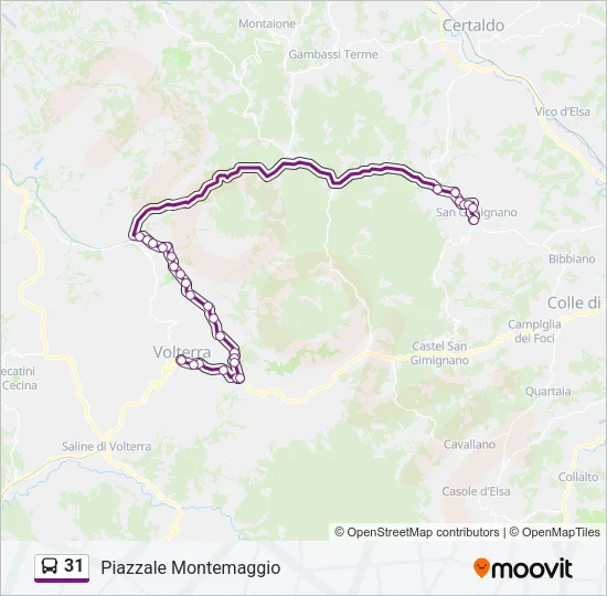 31 Bus Line Map