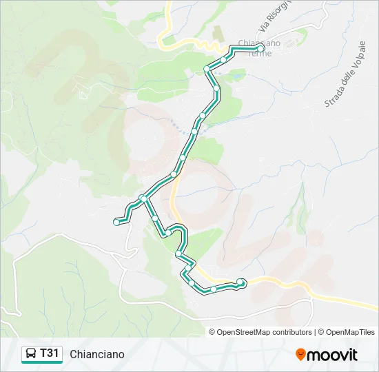 T31 Bus Line Map