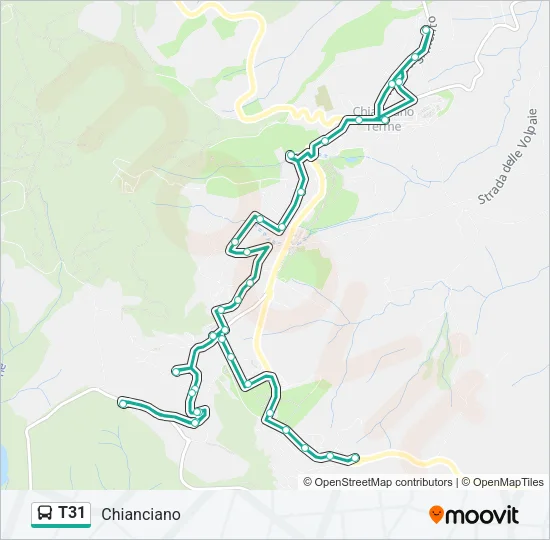 T31 Bus Line Map
