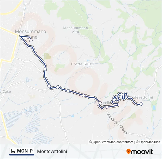 MON-P Bus Line Map