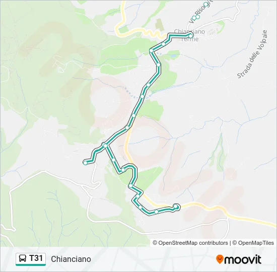 T31 Bus Line Map