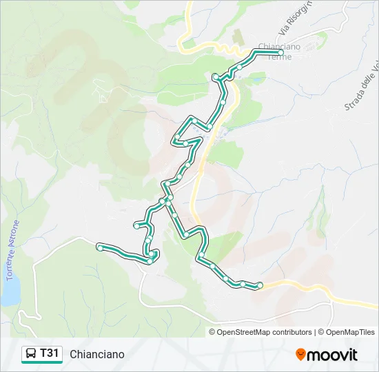 T31 Bus Line Map
