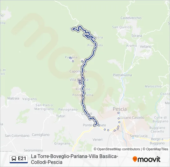 E21 Bus Line Map