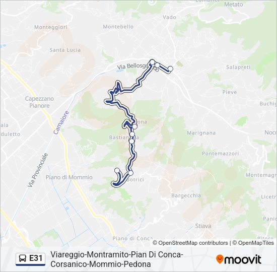 E31 Bus Line Map