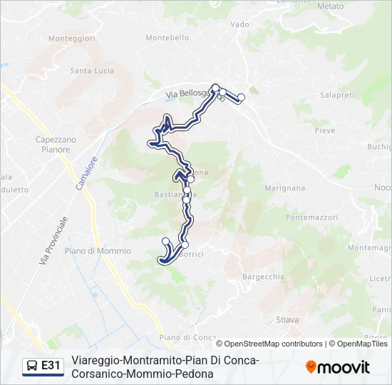 E31  Line Map