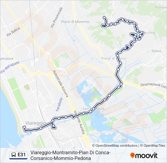 E31 Bus Line Map