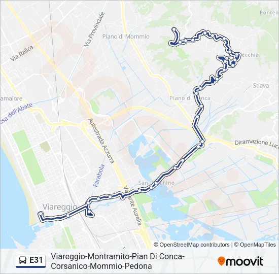 E31  Line Map
