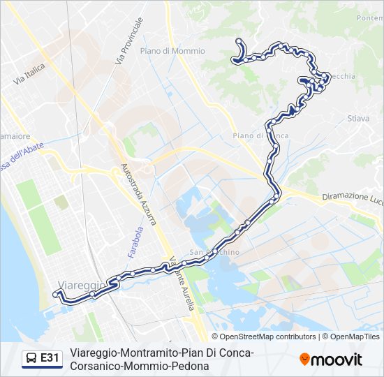 E31 Bus Line Map