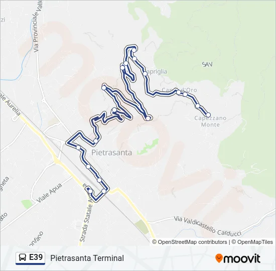 E39 Bus Line Map