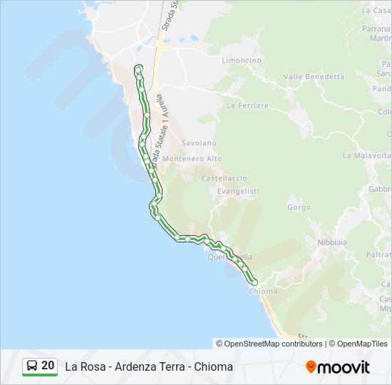 20 Bus Line Map
