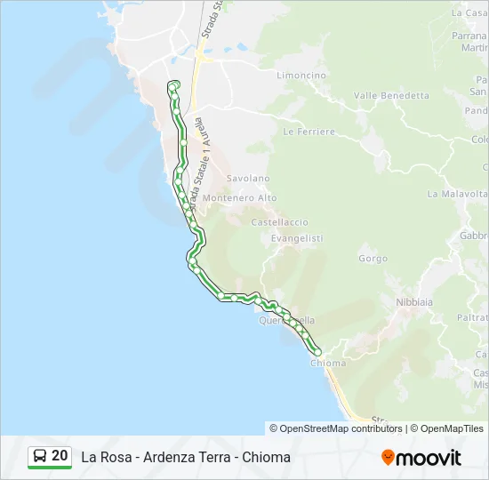 20 Bus Line Map