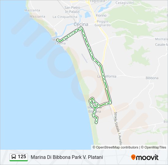 125 Bus Line Map
