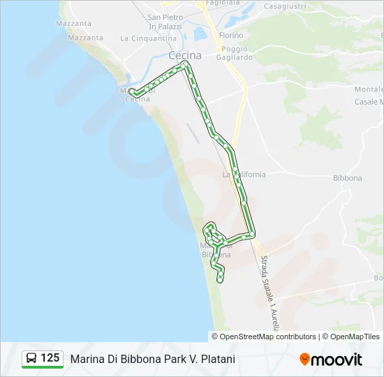 125 Bus Line Map