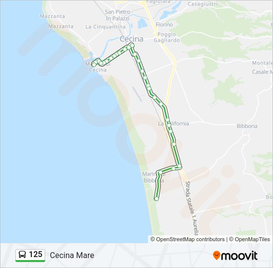 125 Bus Line Map