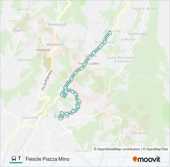 T Bus Line Map