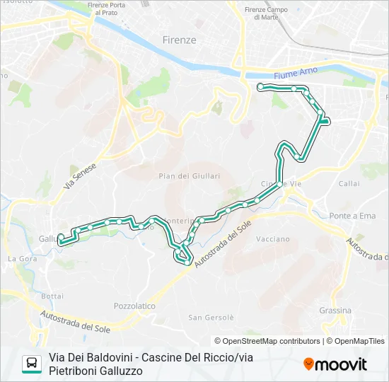 VIA DEI BALDOVINI - CASCINE DEL RICCIO/VIA PIETRIBONI GALLUZZO Bus Line Map