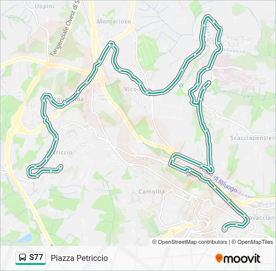 S77 Route: Schedules, Stops & Maps - Piazza Petriccio (Updated)