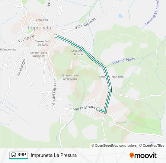 39P Bus Line Map