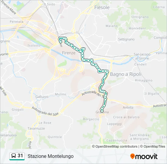 31 Bus Line Map