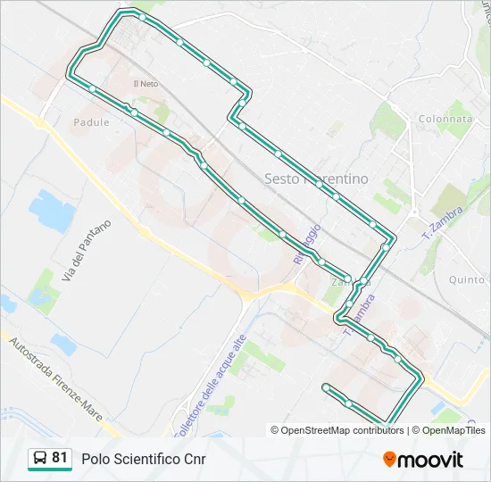 Percorso linea  81
