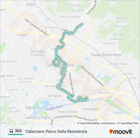 303 Bus Line Map