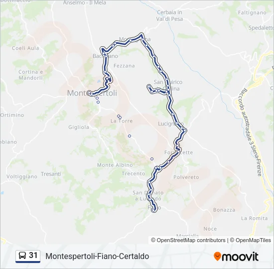 31 Bus Line Map