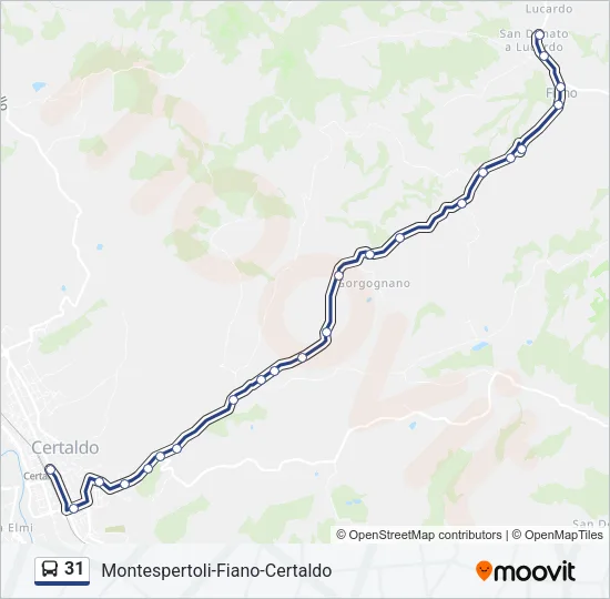 31 Bus Line Map