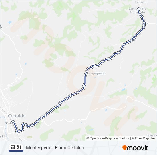 Percorso linea bus 31