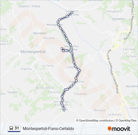 31 bus Line Map