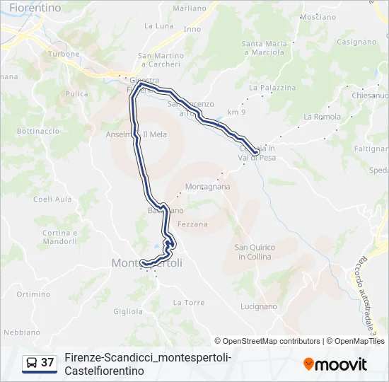37 Bus Line Map