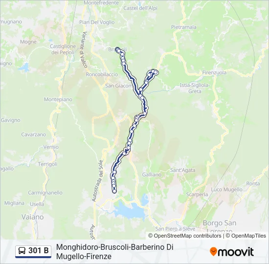301 B Bus Line Map