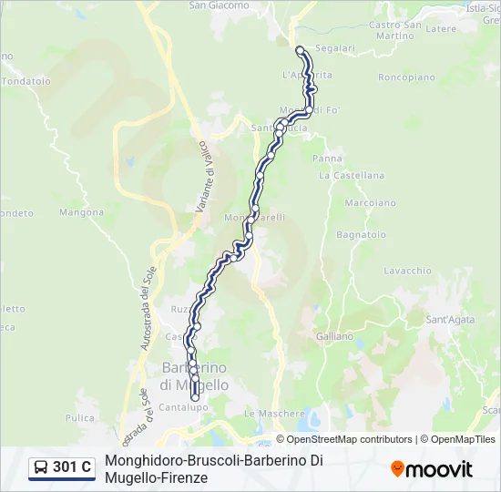 301 C Bus Line Map