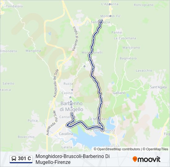 301 C Bus Line Map