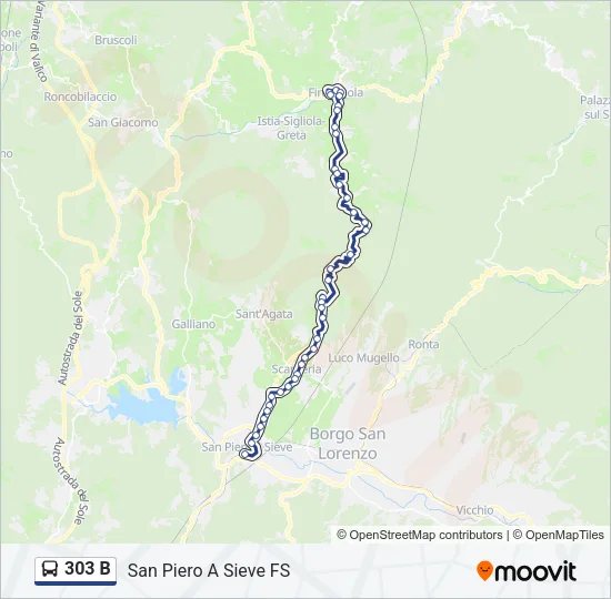 303 B Bus Line Map