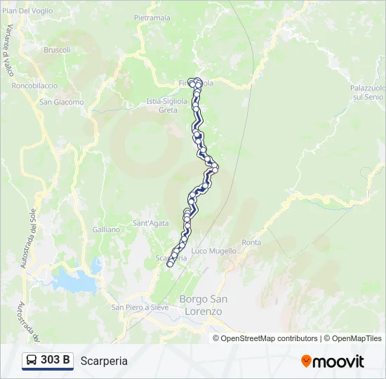 303 B Bus Line Map