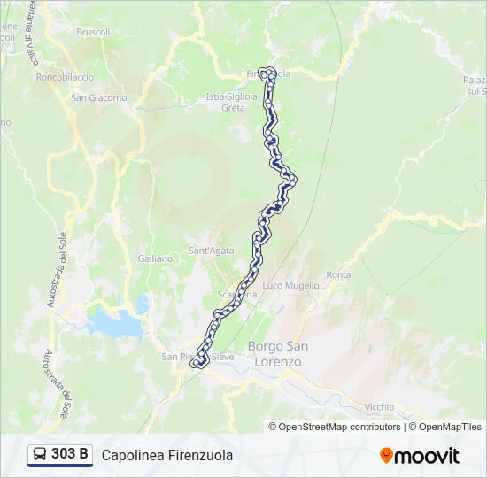 303 B Bus Line Map