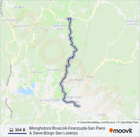 304 B bus Line Map