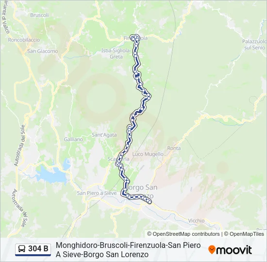 304 B Bus Line Map