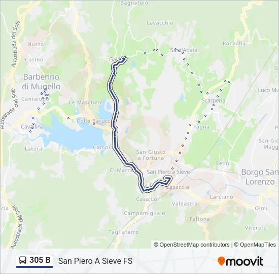 305 B Bus Line Map