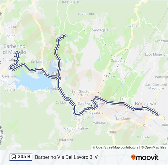 Percorso linea bus 305 B