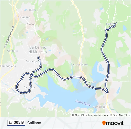 305 B Bus Line Map
