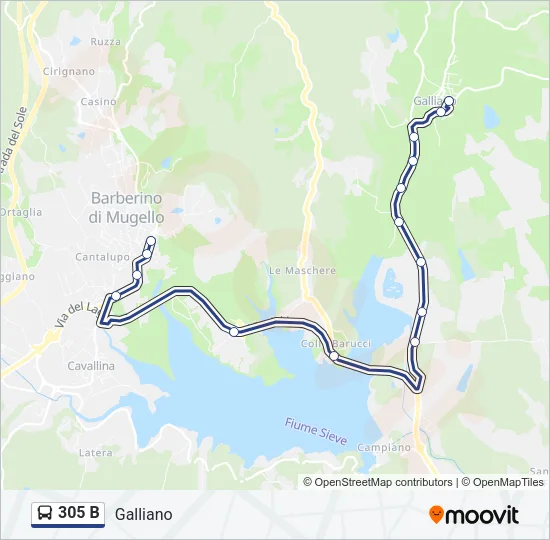 305 B Bus Line Map