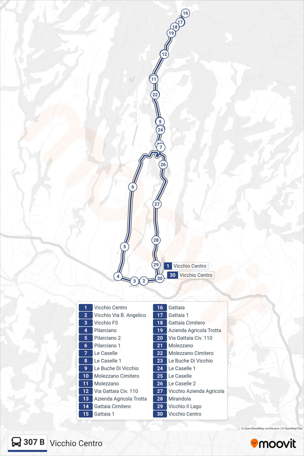 Linea 307 B  bus (Vicchio Centro) - Percorsi e fermate sulla mappa