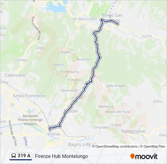 319 A Bus Line Map