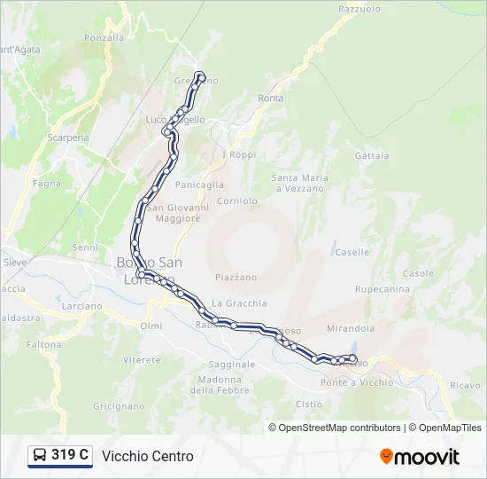 319 C Bus Line Map