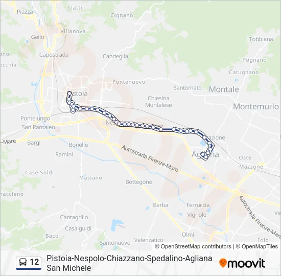 12 Bus Line Map